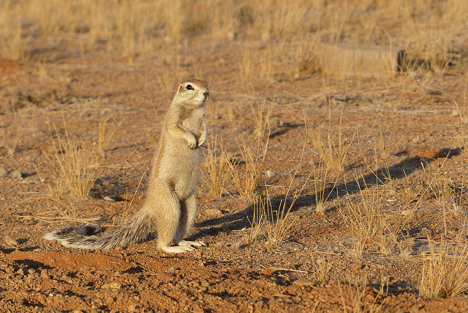 Namibia 3