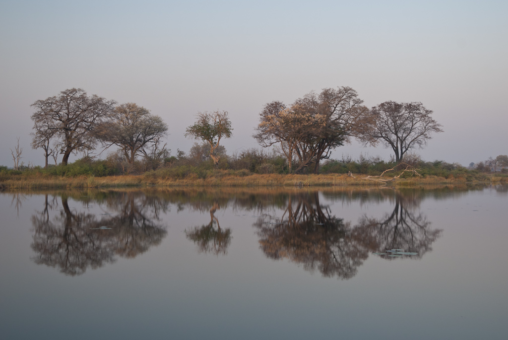 namibia 42