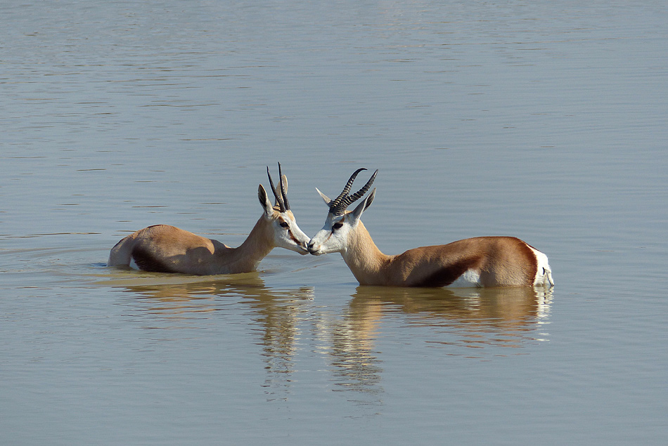 Namibia 5