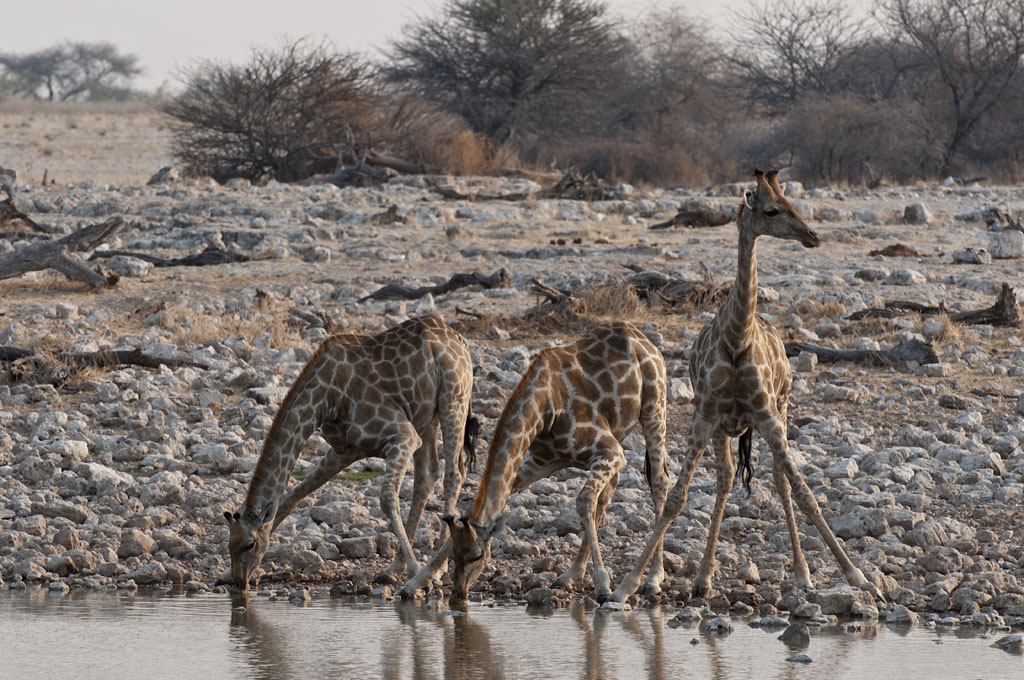 namibia 57