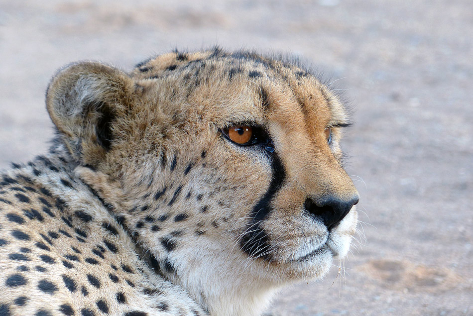 Namibia 6
