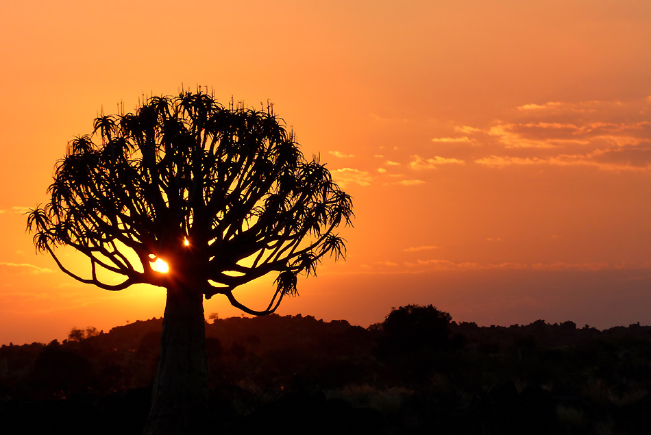 Namibia 7