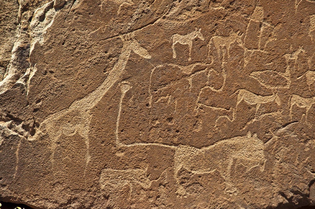 namibia 73