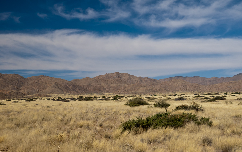 namibia 81