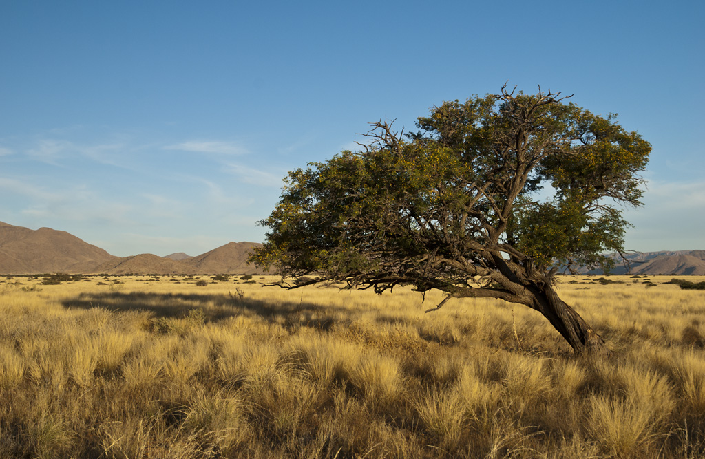 namibia 84
