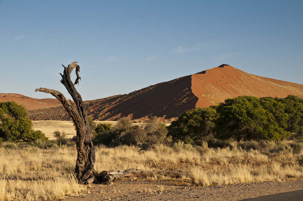 namibia 87