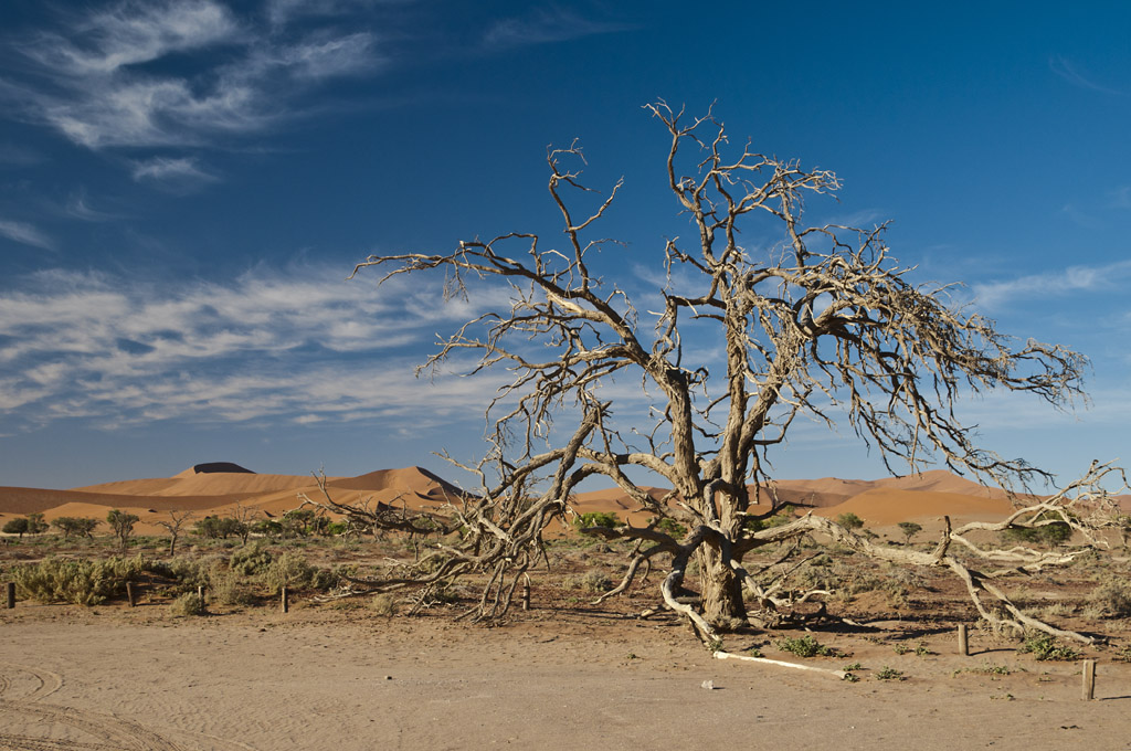 namibia 89