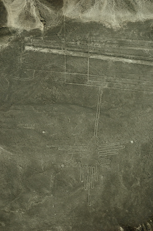 Nasca   Kolibri