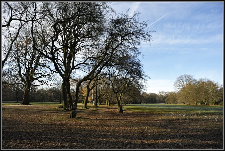 Natur 02
D700 &amp; AI-S 3.5/20mm mit Blende 8.0
