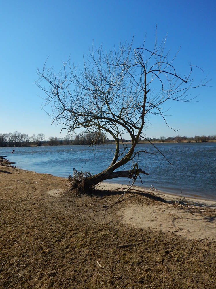 Natur.1.nf
