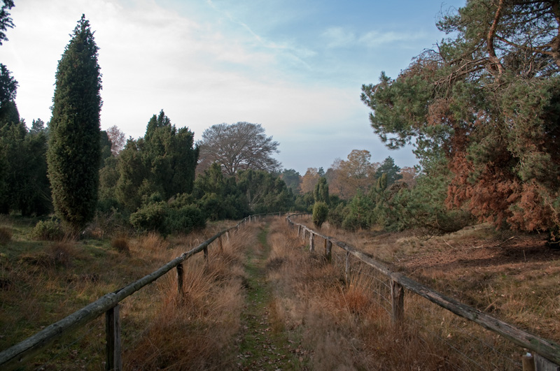 Natur 18