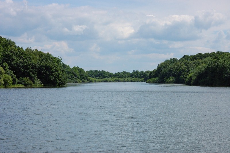 Natur pur, 55mm