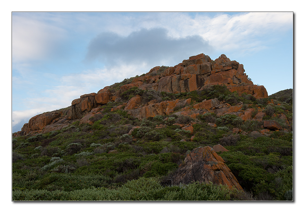 naturaliste3