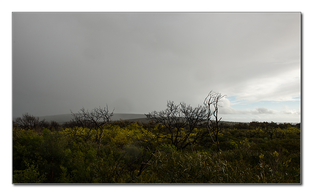 naturaliste4