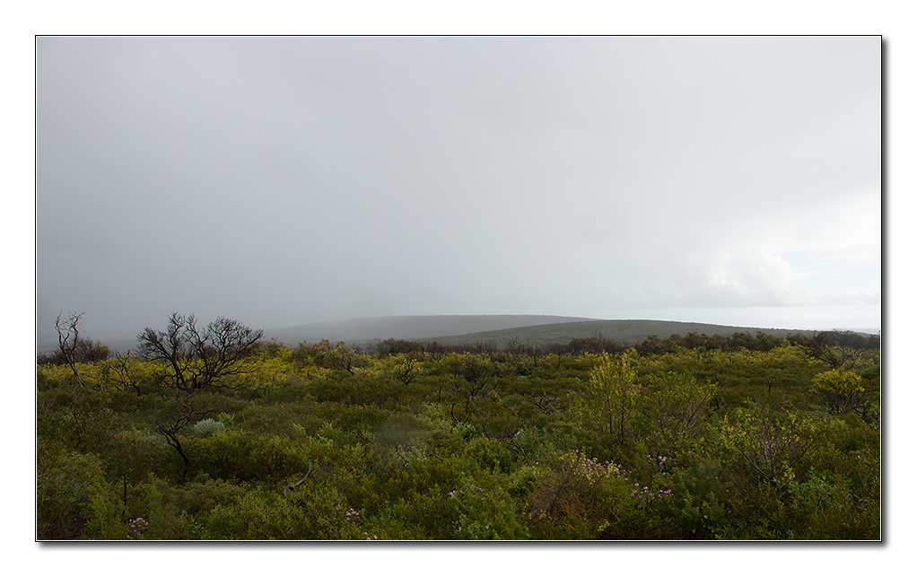 naturaliste5
