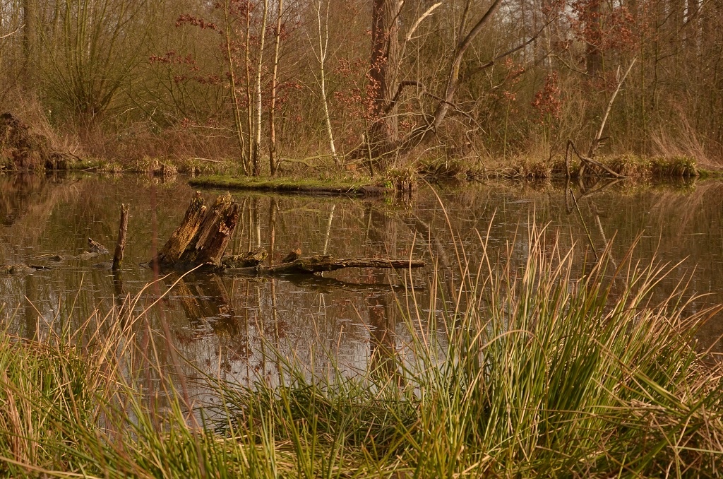 Naturbelassen