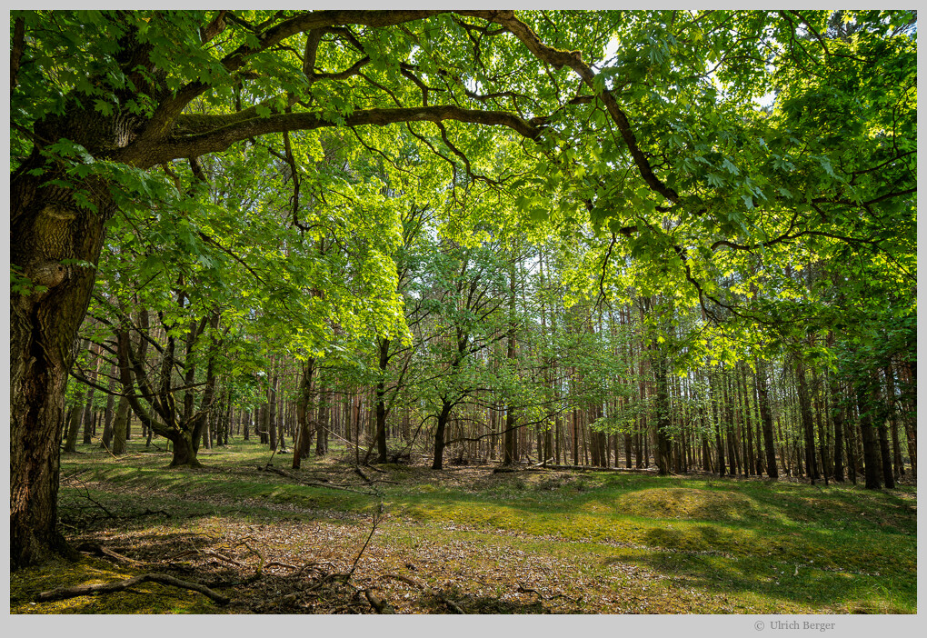 Naturpark