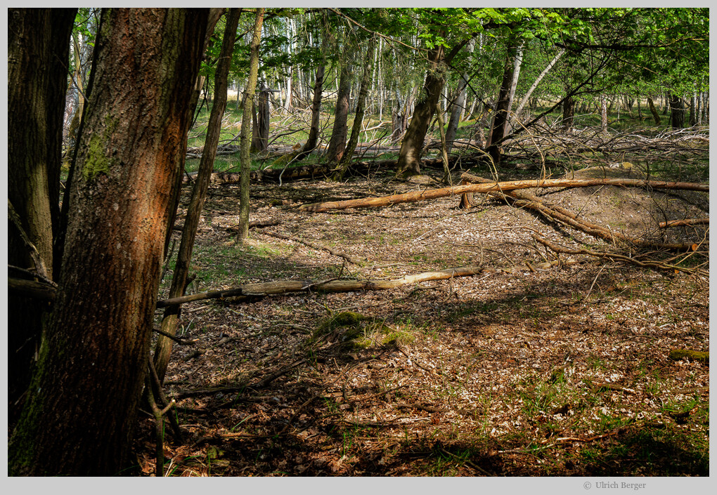 Naturpark