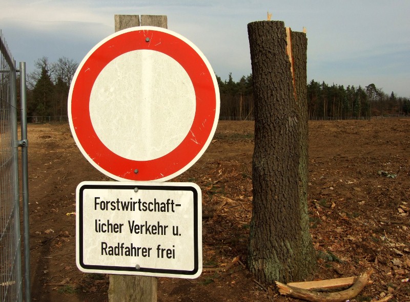 Naturschutz made in Hessen