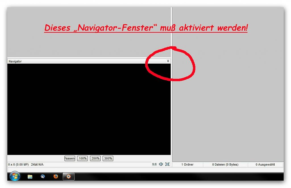 Navigator bei Fast Stone Image Viewer