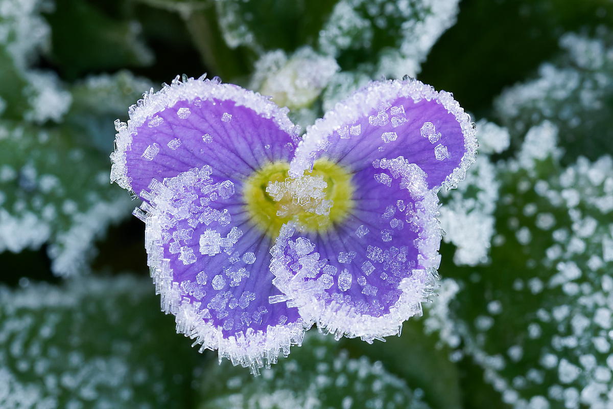 NB304624nikon.jpg