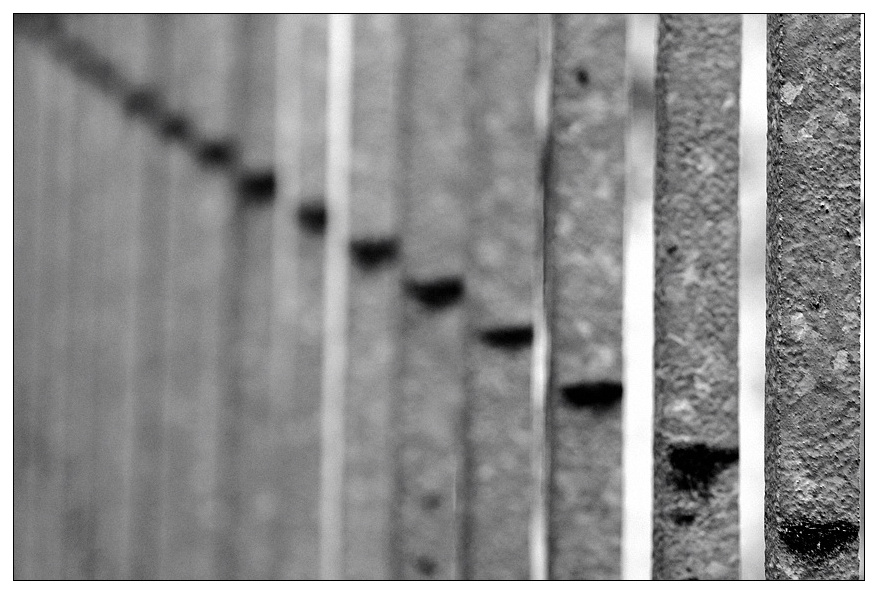 NC diagonal