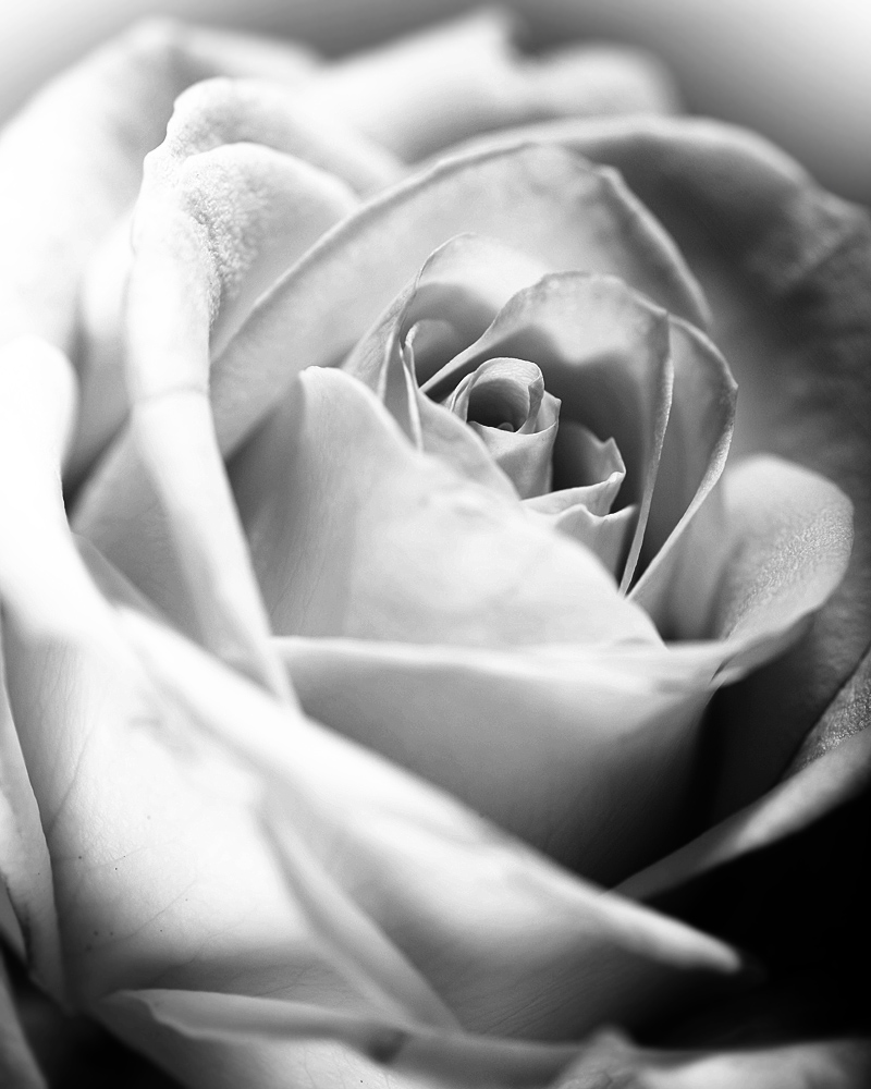 ND8 2979 1000 sw
