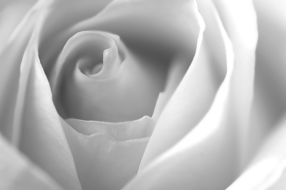 ND8 3006 1000 sw