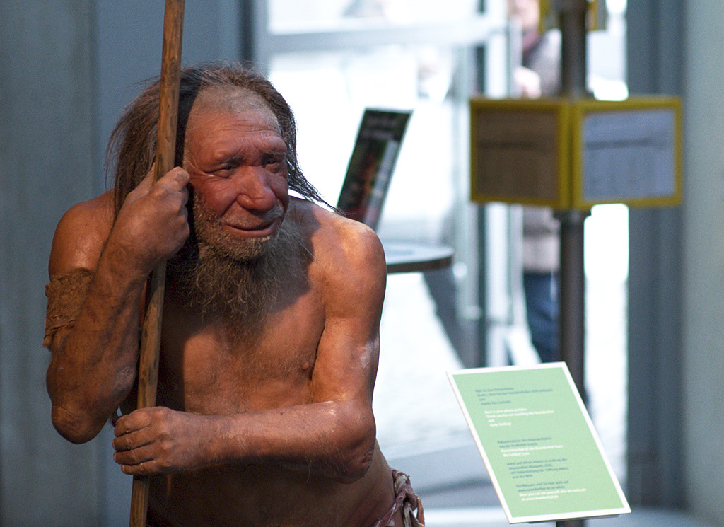 neandertaler