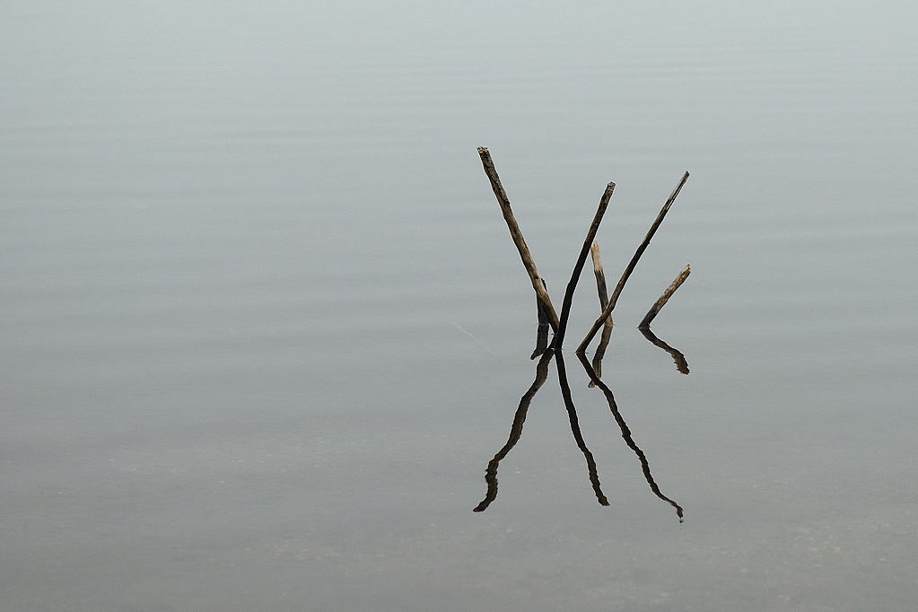 Nebel 0008