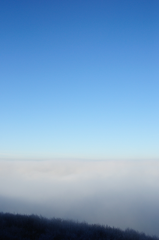 Nebel 02