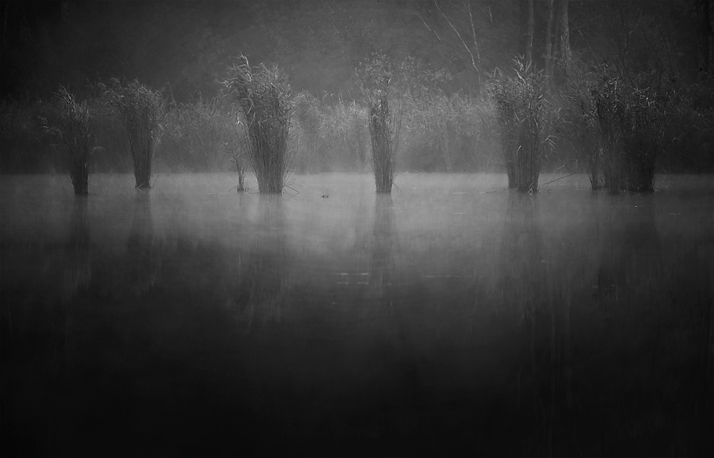Nebel 04