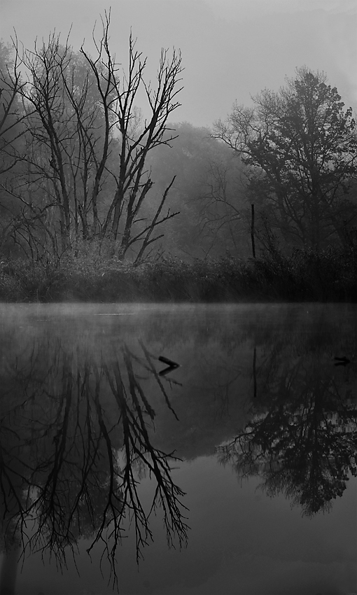 Nebel 05