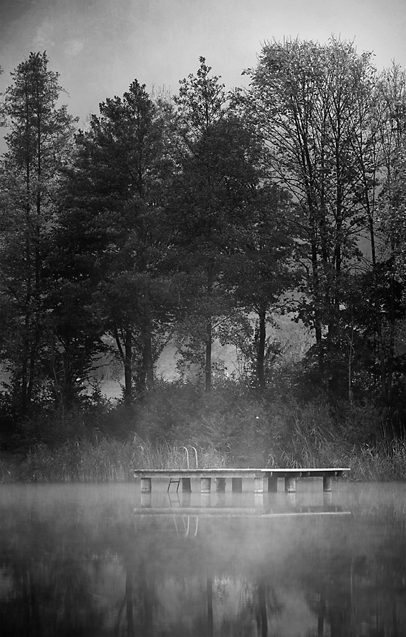 Nebel 06