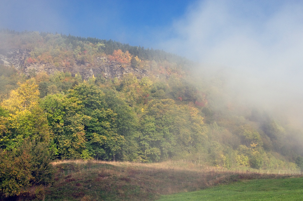 Nebel 08