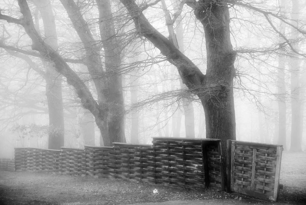 Nebel 1 BW.jpg
