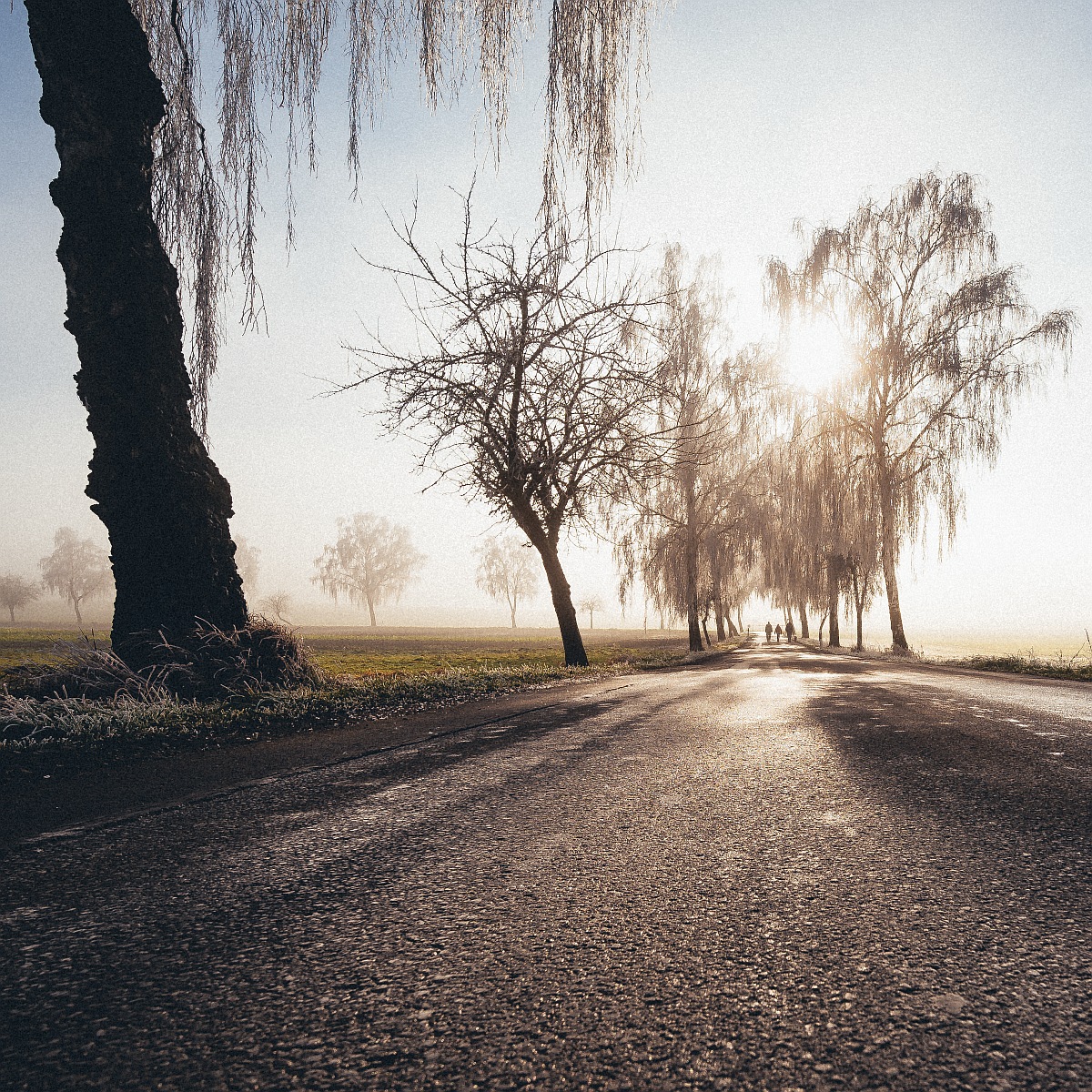 Nebel 1