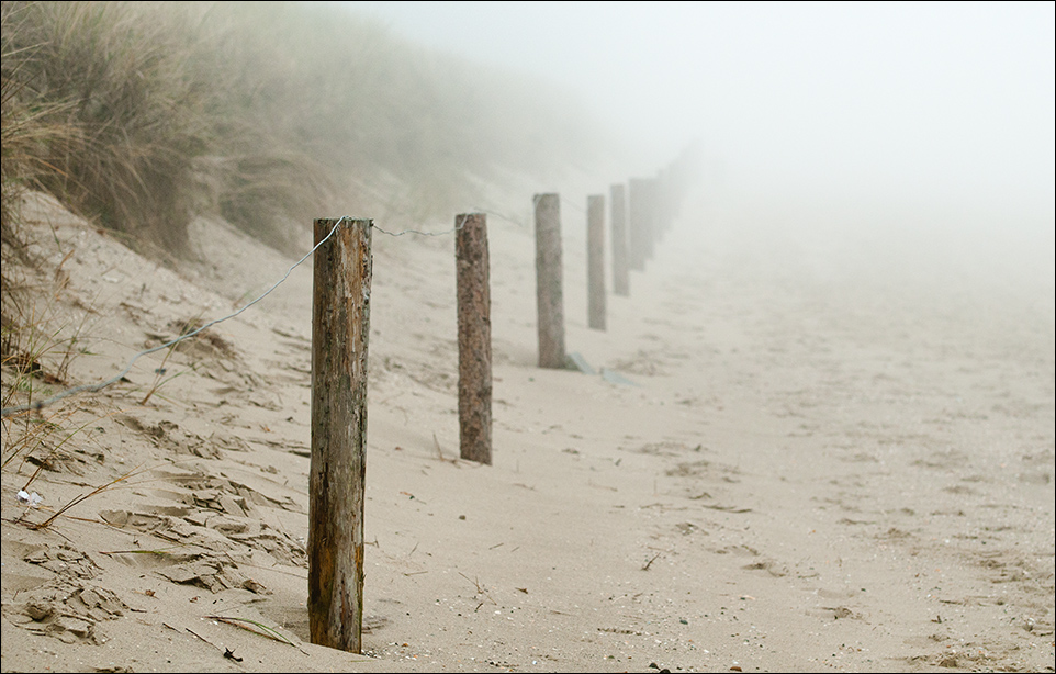 Nebel 2
