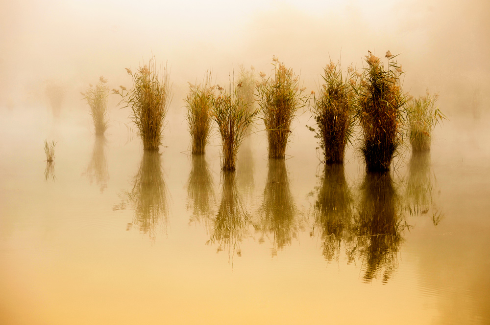 nebel 2