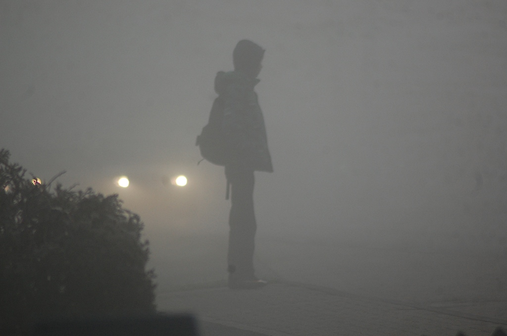 Nebel auch heute 015