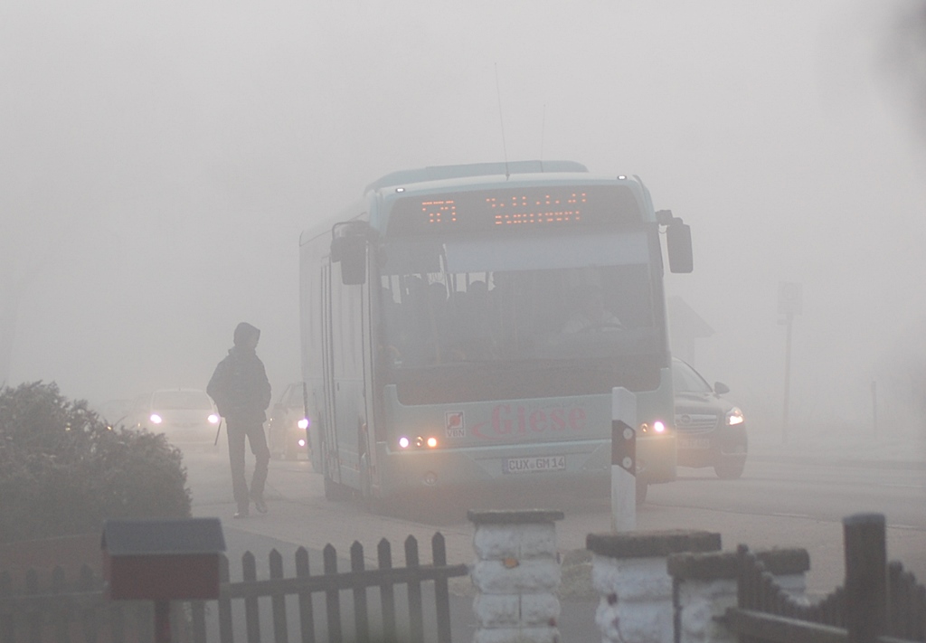Nebel auch heute 022