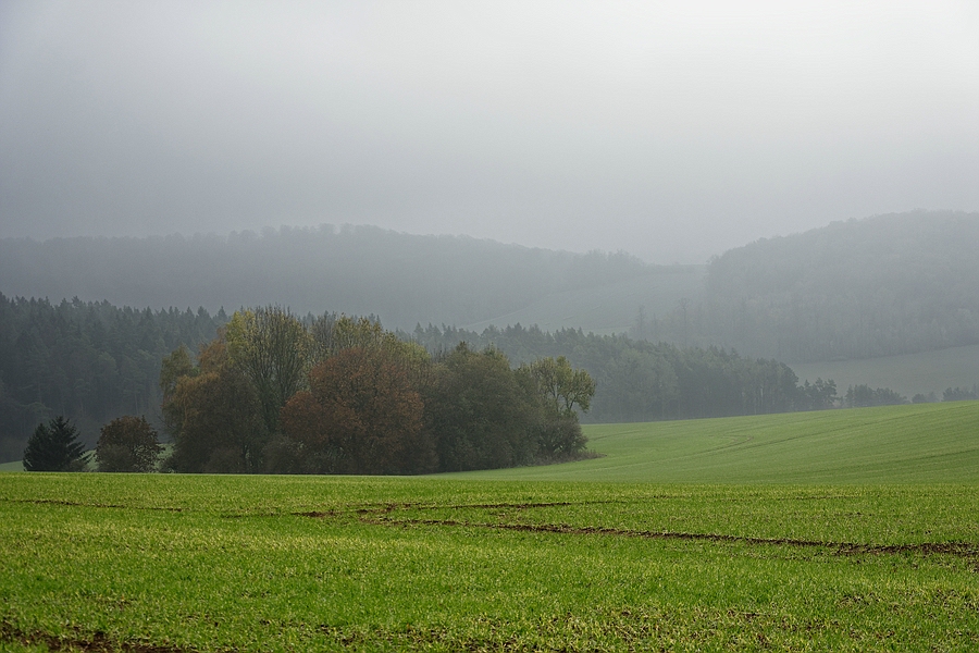 Nebel I