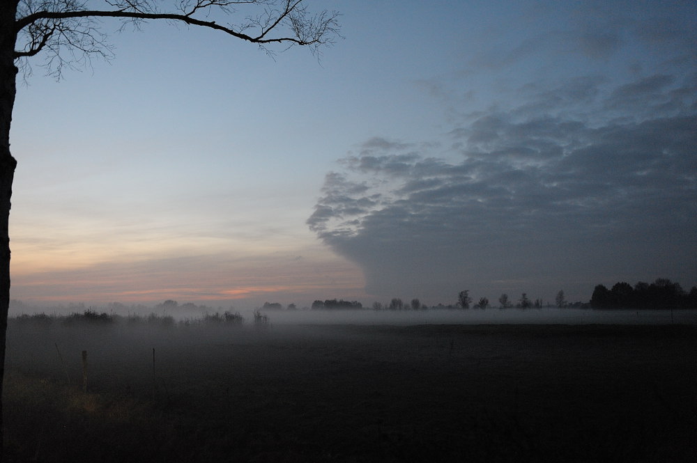 nebel JKK 3602