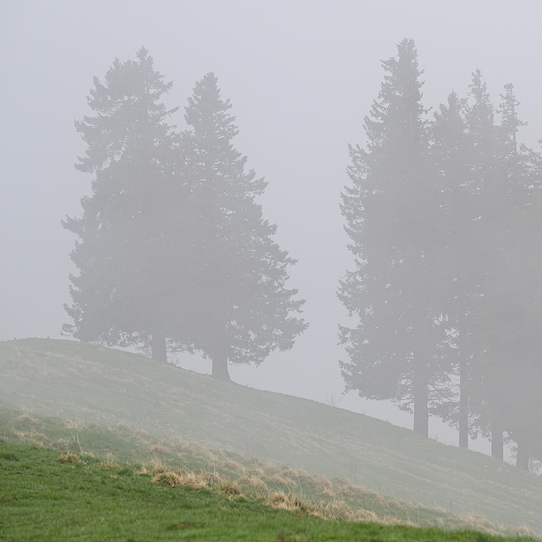Nebel.jpg