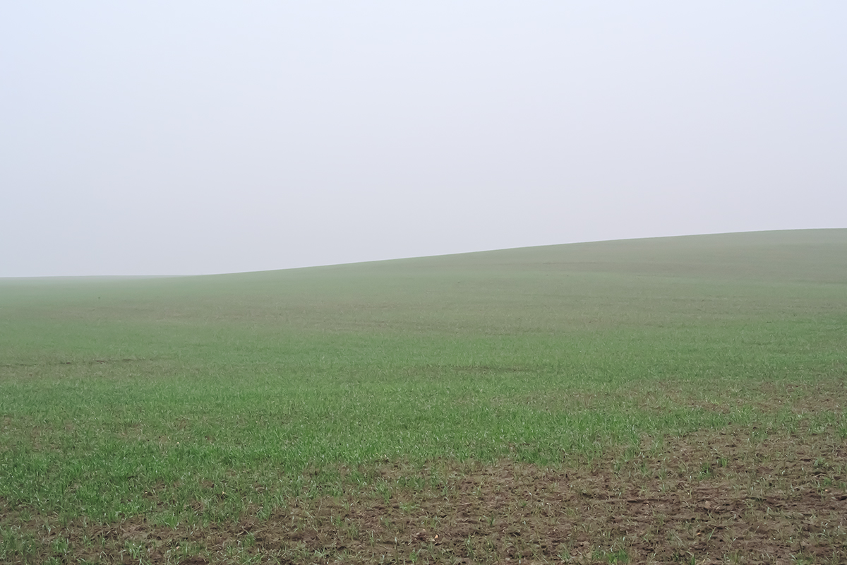 Nebel.jpg