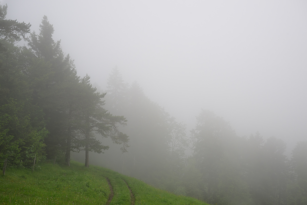 Nebel.jpg