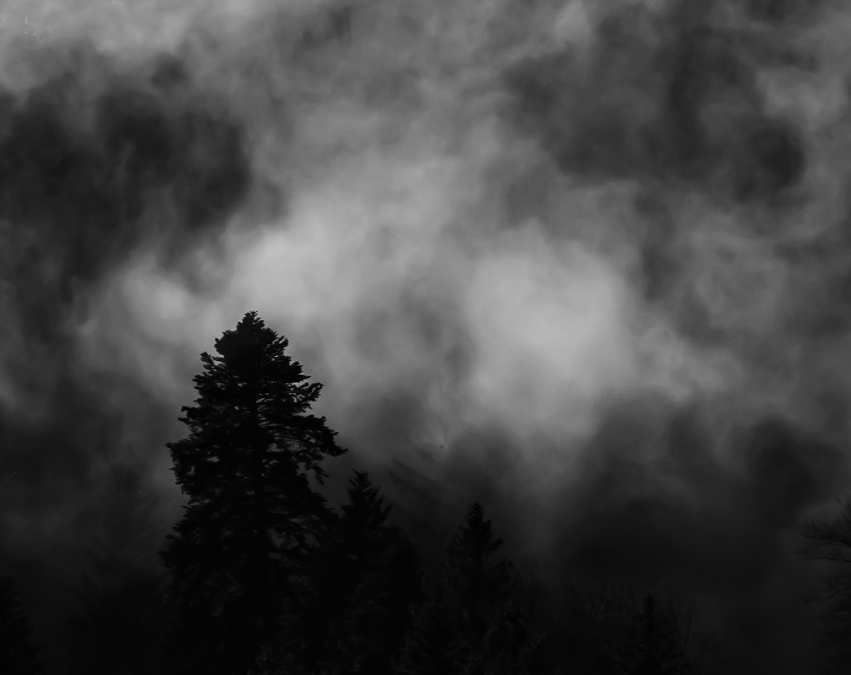 Nebel.jpg