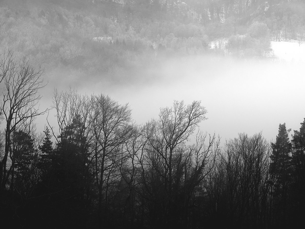 Nebel.jpg