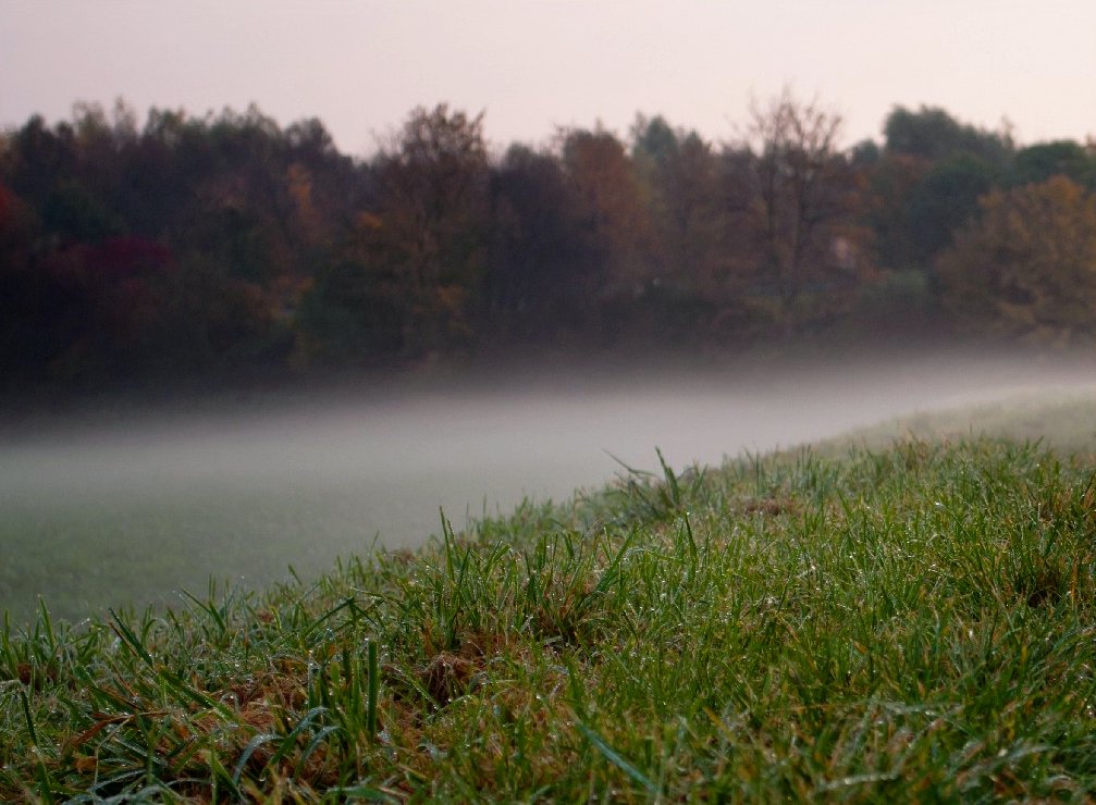 Nebel von Foto-Newbie (von mir nur kurz überarbeitet)