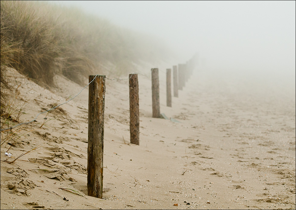 Nebel